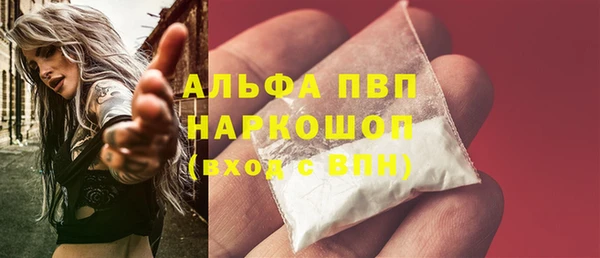 крисы Алексин