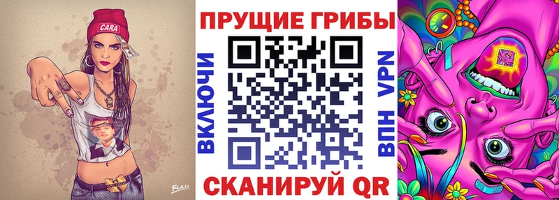 дарнет шоп  Бабаево  Псилоцибиновые грибы Psilocybine cubensis 